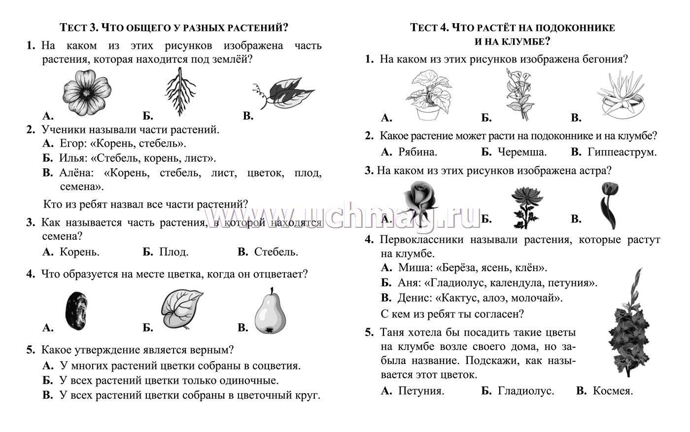 Тесты. Окружающий мир. 1 класс: Природа. Дом. Прописи – купить по цене: 27  руб. в интернет-магазине УчМаг