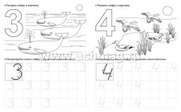 Тренажёр. Весёлые цифры: для детей 5 лет — интернет-магазин УчМаг