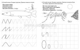 Тренажёр. Пропись с загадками: для детей 5 лет — интернет-магазин УчМаг