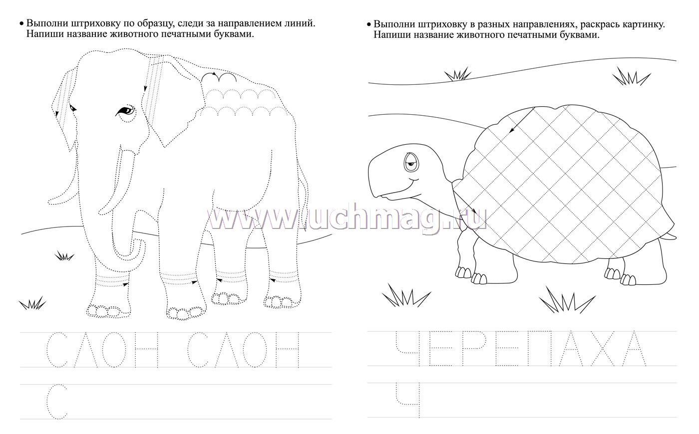 Раскраска Колетт Браво Старс