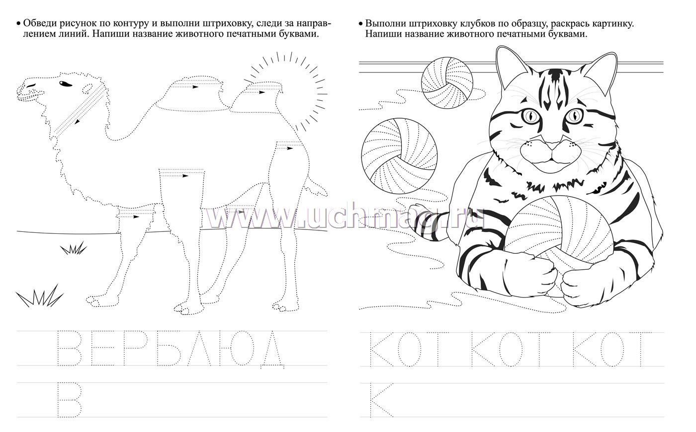 Trenazher Shtrihovka Zoopark Dlya Detej 6 Let Kupit Po Cene 19 80 Rub V Internet Magazine Uchmag