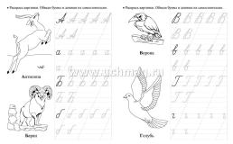 Тренажер. Прописи-раскраски: для детей 6 лет — интернет-магазин УчМаг