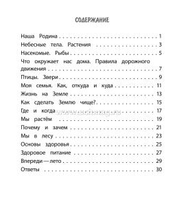 Тренажёр. Окружающий мир. 1 класс — интернет-магазин УчМаг