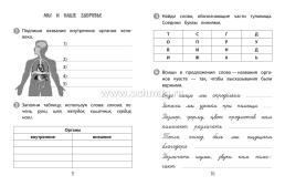 Тренажёр. Окружающий мир. 3 класс — интернет-магазин УчМаг