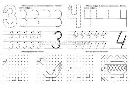 Прописи для левшей. Догадливые циферки: для детей 7 лет — интернет-магазин УчМаг