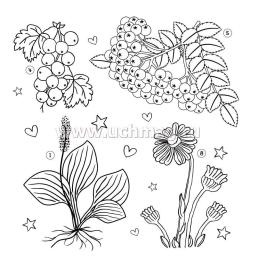 Кроссворды о безопасности — интернет-магазин УчМаг