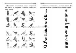Замедли старение мозга: тетрадь на каждый день. 80 стр. — интернет-магазин УчМаг