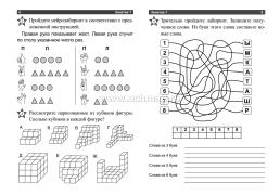 Тренировка ума: тетрадь на каждый день. 80 стр. — интернет-магазин УчМаг
