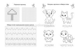 Готовим руку к письму: детям 5-6 лет — интернет-магазин УчМаг
