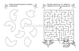 Тренируем внимание: детям 5-6 лет — интернет-магазин УчМаг