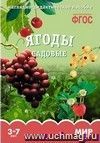 Ягоды садовые. Наглядно-дидактическое пособие для занятий с детьми 3-7 лет