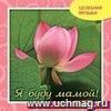 Компакт-диск. Целебная музыка 