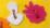 Шнуровка "Корзина". Игра развивающая для детей старше 3-х лет из ковролина+Сборник "Мир грибов, лесных ягод в заданиях и играх". Для детей 5-7 лет — интернет-магазин УчМаг