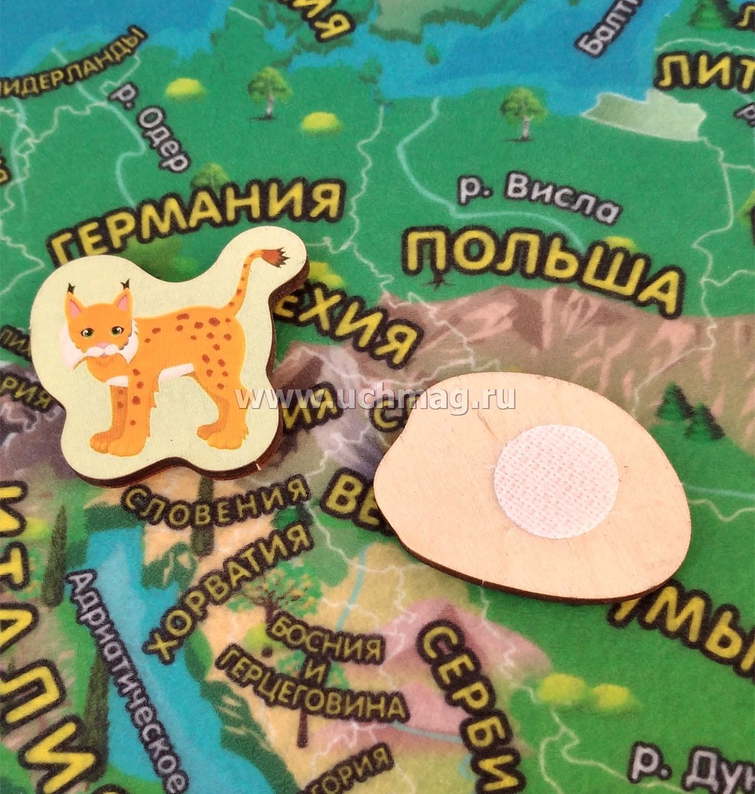 Карта из фетра