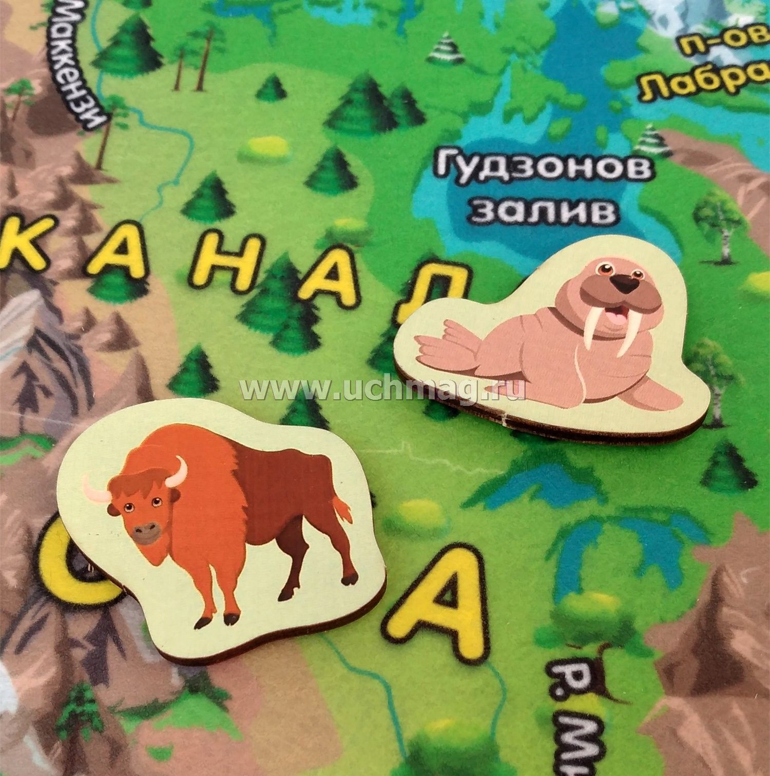 Карта из фетра