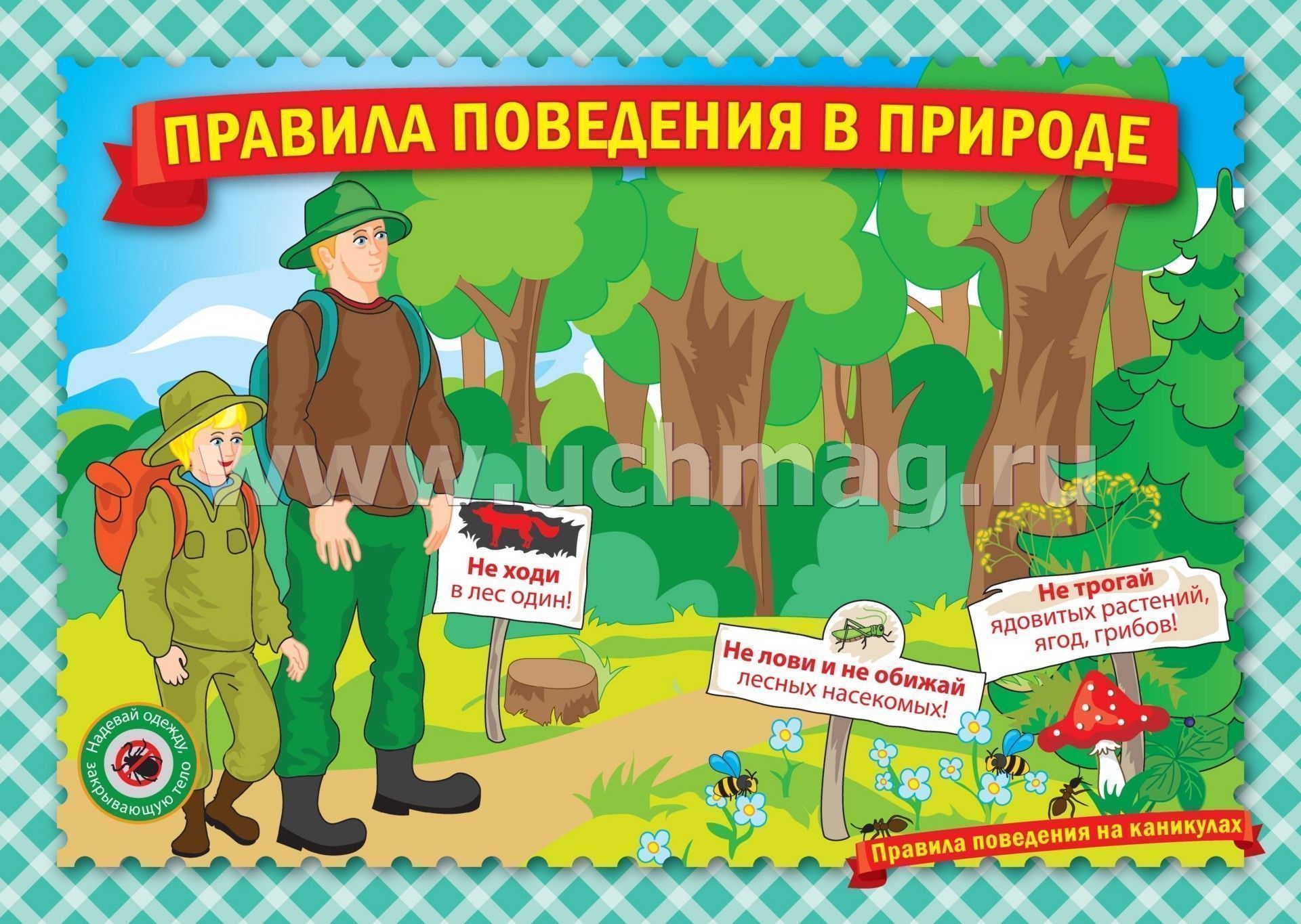 рисунок правила поведения на природе