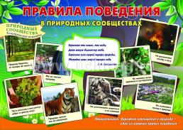 Комплект плакатов "Природные сообщества": 8 плакатов  формата А3 с методическим сопровождением — интернет-магазин УчМаг