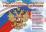 Комплект плакатов "Символы Российского государства": 8 плакатов формата А4 с методическим сопровождением — интернет-магазин УчМаг