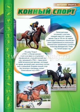 Комплект плакатов "История спорта": 16 плакатов с методическим сопровождением (Формат А3) — интернет-магазин УчМаг