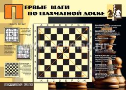 Комплект плакатов "Шахматные уроки": 4 плаката (Формат А3) с методическим сопровождением — интернет-магазин УчМаг