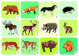 Комплект плакатов "Животные разных широт": 4 плаката формата А3 с методическим сопровождением — интернет-магазин УчМаг