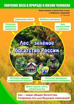 Комплект плакатов "Лес - наше богатство": 4 плаката формата А3 с методическим сопровождением — интернет-магазин УчМаг