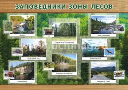 Комплект плакатов "Природные зоны: смешанные и широколиственные леса, тайга": 8 плакатов формата А3 с методическим сопровождением — интернет-магазин УчМаг