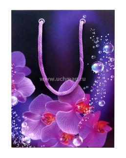 Пакет подарочный бумажный "Цветы - орхидеи" — интернет-магазин УчМаг