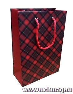 Пакет подарочный бумажный "Шотландская клетка" — интернет-магазин УчМаг