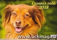 Календарь квартальный "Символ года 6" 2018 — интернет-магазин УчМаг