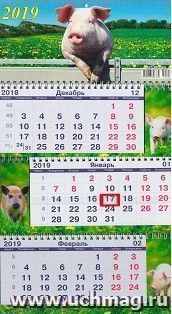 Календарь квартальный "Символ года 1" 2019 — интернет-магазин УчМаг