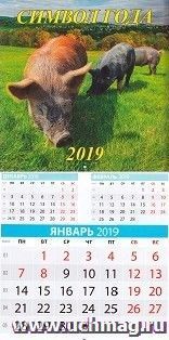 Календарь перекидной на скрепке "Символ года 3" 2019 — интернет-магазин УчМаг