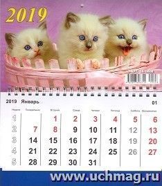Календарь на спирали "Котята" 2019 — интернет-магазин УчМаг