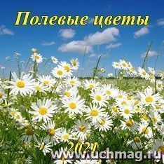 УчМаг