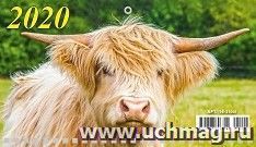 УчМаг