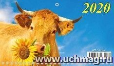 УчМаг