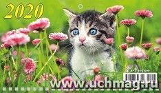 УчМаг