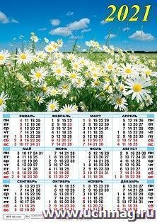 Календарь настенный листовой "Ромашки" 2021 — интернет-магазин УчМаг
