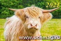 УчМаг