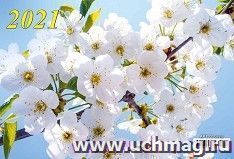 УчМаг