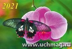 УчМаг