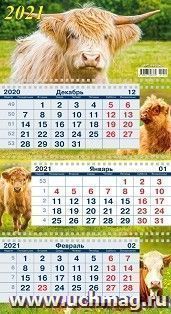 УчМаг