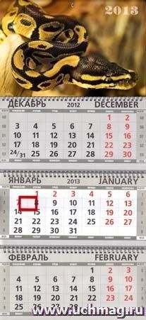 Квартальный календарь 2013. Змея коричневая — интернет-магазин УчМаг