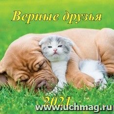 УчМаг