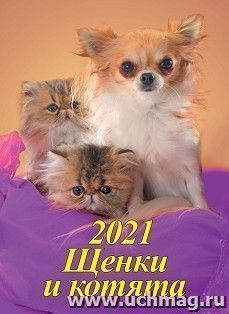 УчМаг