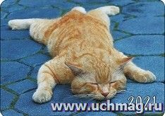 УчМаг