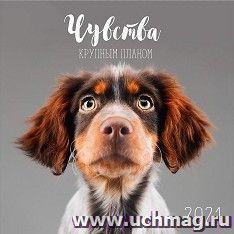 УчМаг