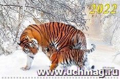 УчМаг
