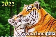 УчМаг