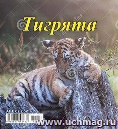 УчМаг